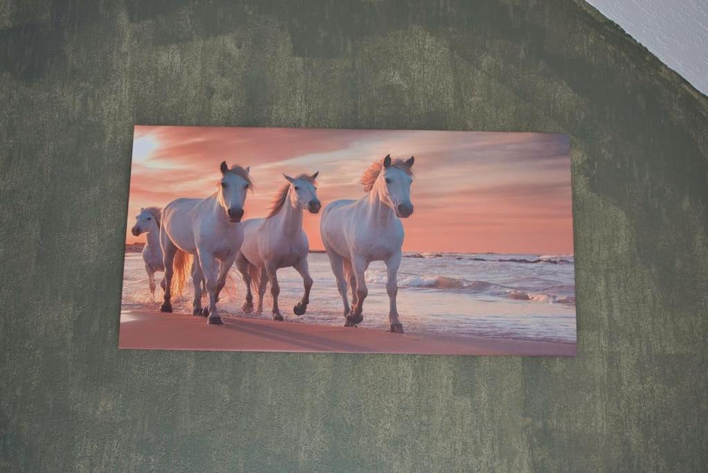 הולגאט Le Fer A Cheval 4 Pers. Confort Plage מראה חיצוני תמונה